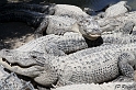 IMG_7719_LR