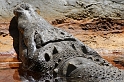 IMG_7730_LR