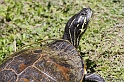 IMG_7738_LR
