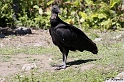 IMG_7740_LR