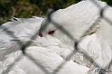 IMG_7743_LR