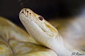IMG_7757_LR
