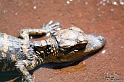 IMG_7762_LR
