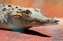 IMG_7766_LR