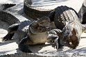 IMG_7783_LR