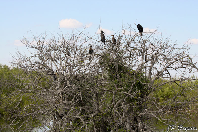 IMG_7832_LR.jpg