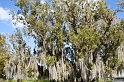 IMG_7797_LR