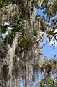 IMG_7798_LR