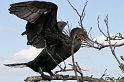 IMG_7802_LR
