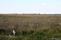 IMG_7811_LR