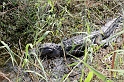 IMG_7814_LR