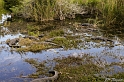 IMG_7817_LR