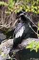 IMG_7828_LR