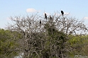 IMG_7832_LR