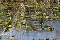 IMG_7839_LR