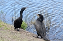 IMG_7846_LR