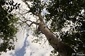 IMG_7851_LR