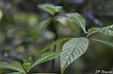 IMG_7852_LR