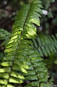 IMG_7853_LR