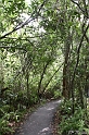 IMG_7854_LR