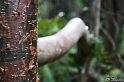 IMG_7855_LR