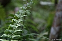 IMG_7856_LR