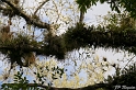 IMG_7857_LR