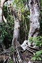 IMG_7862_LR