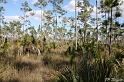 IMG_7870_LR