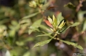 IMG_7872_LR