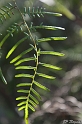 IMG_7873_LR