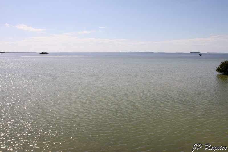 IMG_7877_LR.jpg