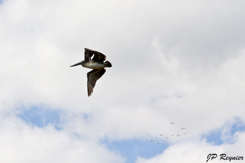 IMG_7961_LR.jpg