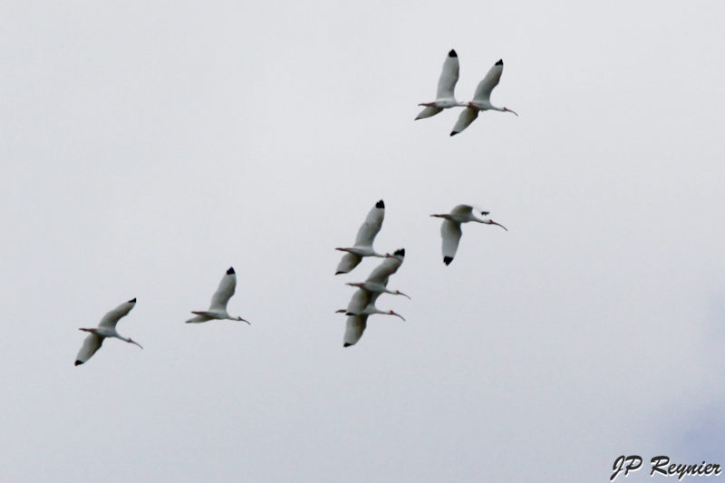 IMG_7965_LR.jpg