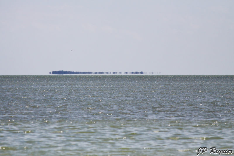 IMG_7976_LR.jpg