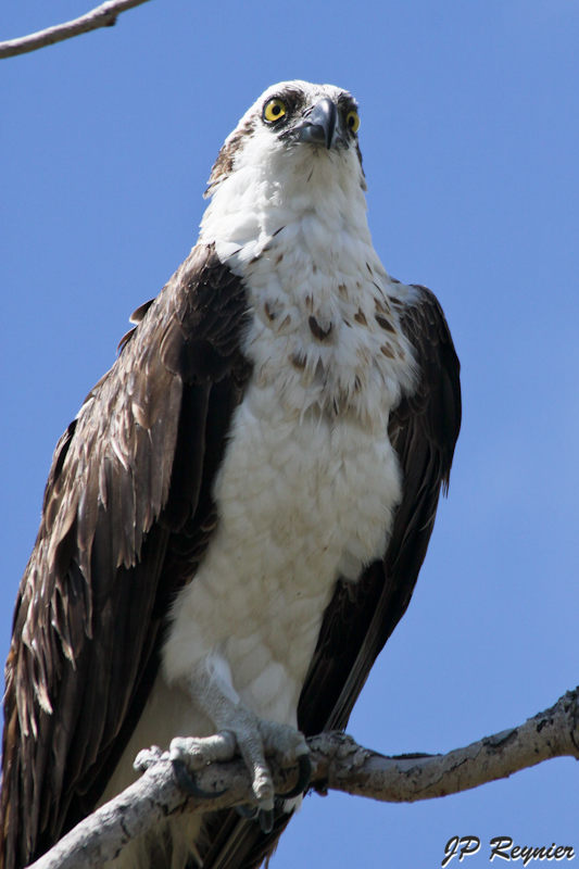 IMG_7986_LR.jpg