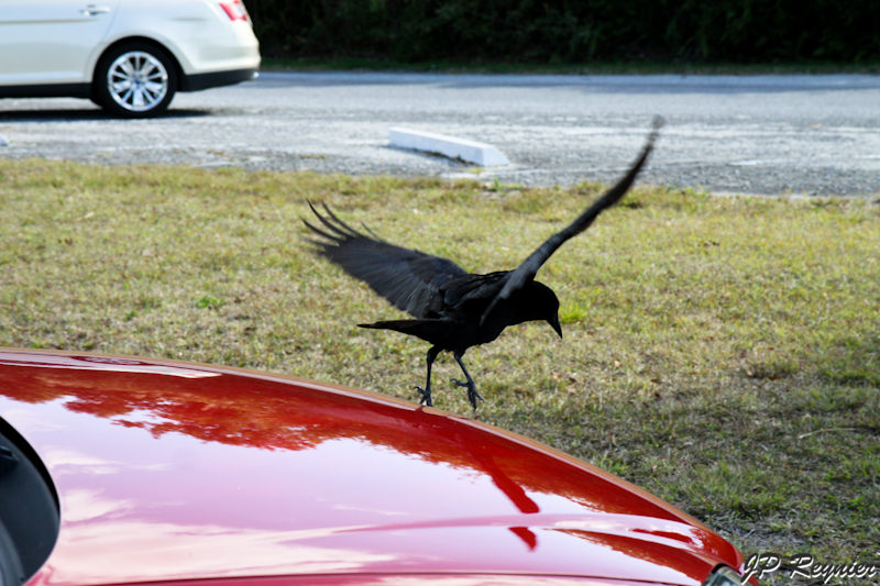 IMG_8041_LR.jpg