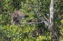 IMG_7898_LR