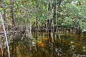 IMG_7906_LR