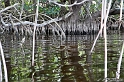 IMG_7911_LR