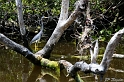 IMG_7923_LR