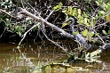 IMG_7929_LR
