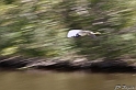 IMG_7934_LR