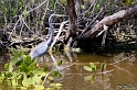 IMG_7942_LR