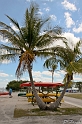 IMG_7950_LR