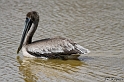 IMG_7959_LR