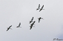IMG_7965_LR
