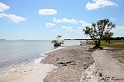 IMG_7981_LR