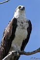 IMG_7986_LR