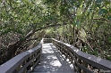 IMG_7990_LR